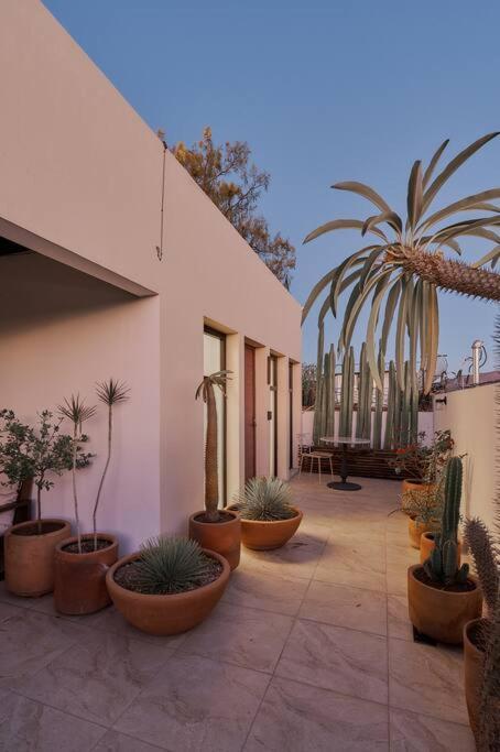 Centrico Live Apartment Oaxaca Exterior photo
